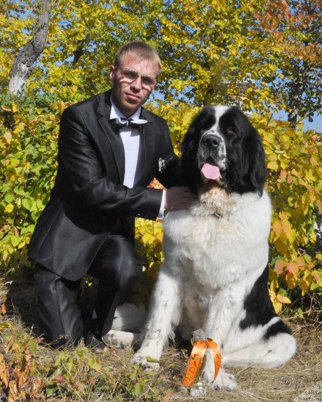 Фотография № 164037