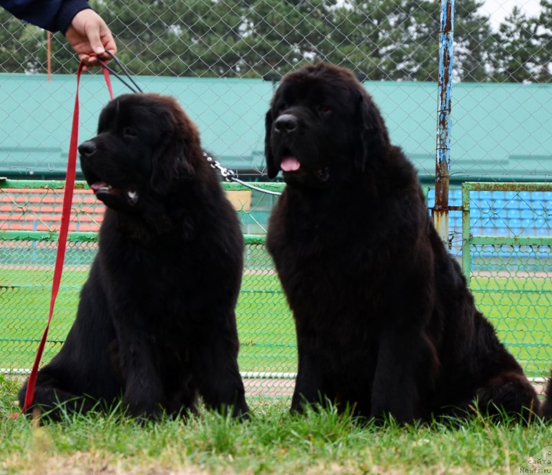 Фотография № 164045