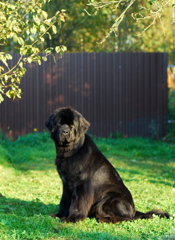 Фотография № 164048