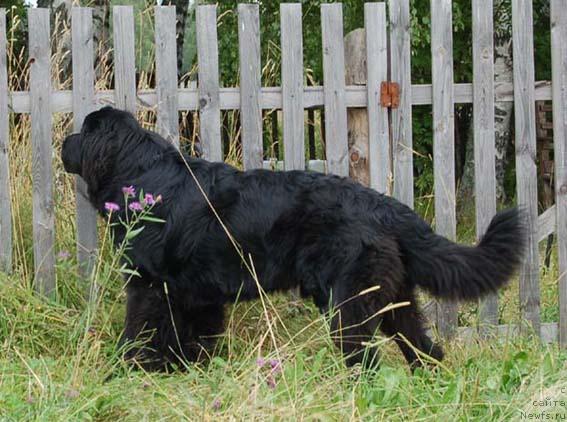 Фотография № 16405