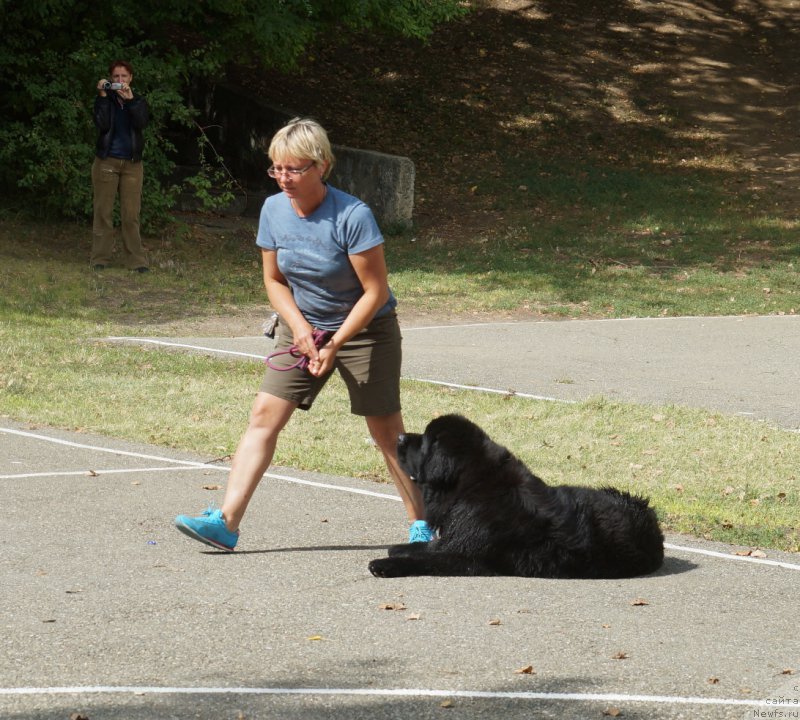 Фотография № 164067