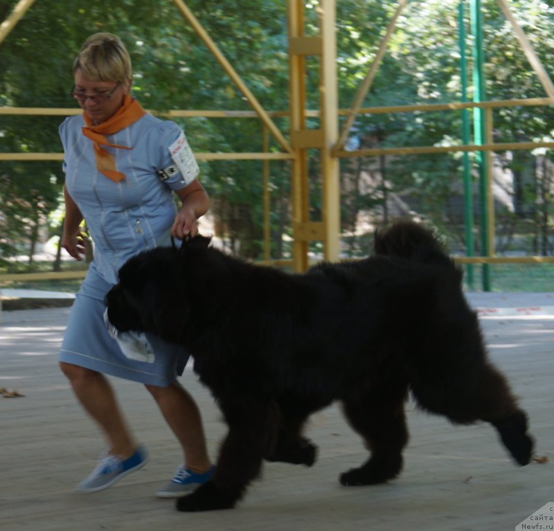 Фотография № 164075