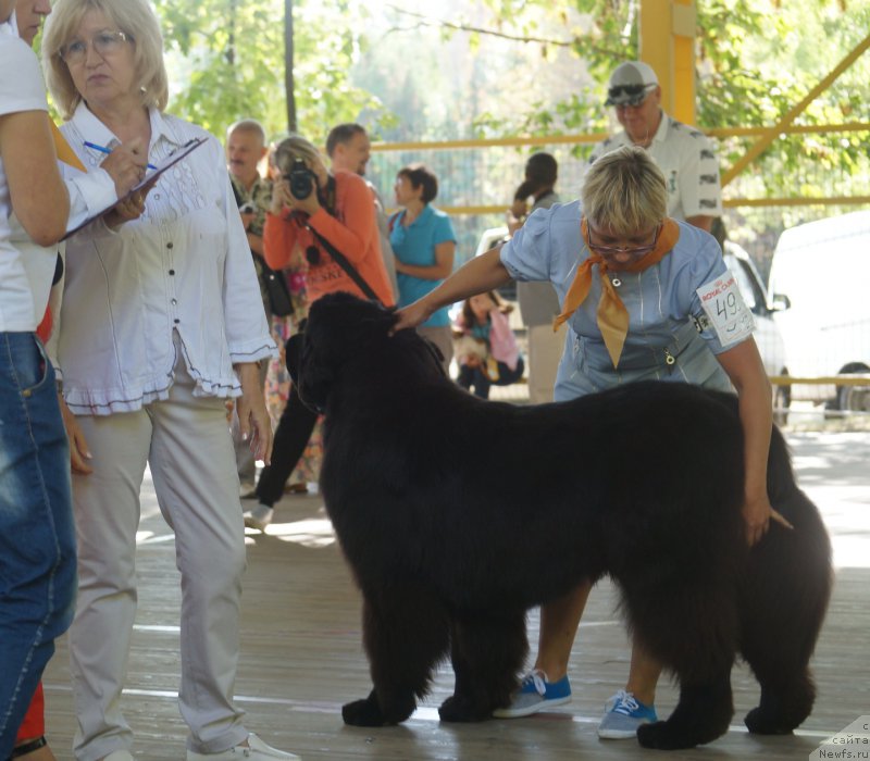 Фотография № 164076