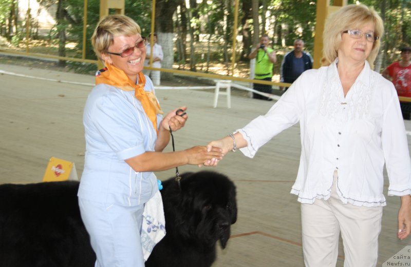 Фотография № 164077