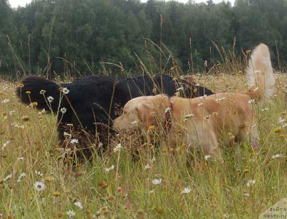 Фотография № 16408