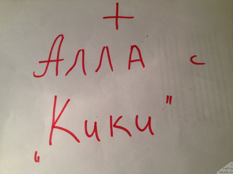 Фотография № 164090