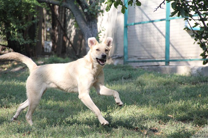 Фото: ТикиТа