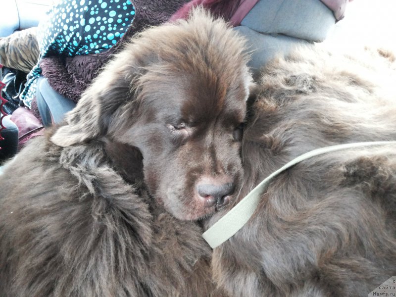 Фотография № 164153