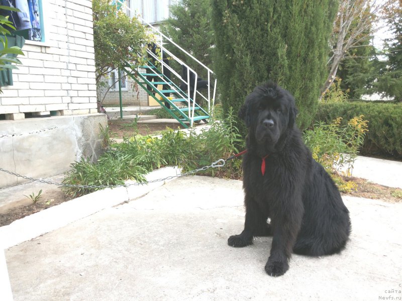 Фотография № 164154