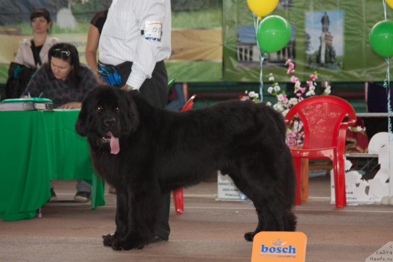 Фотография № 164186