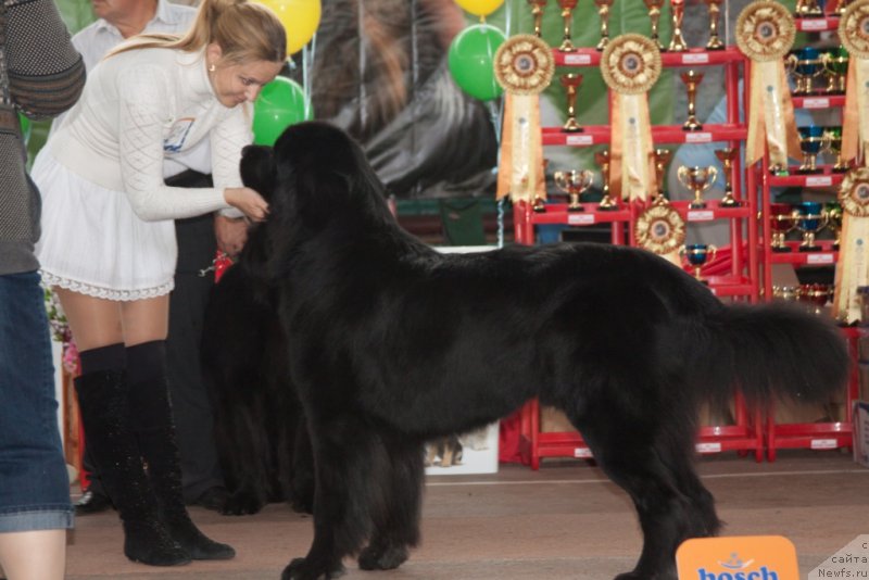 Фотография № 164188