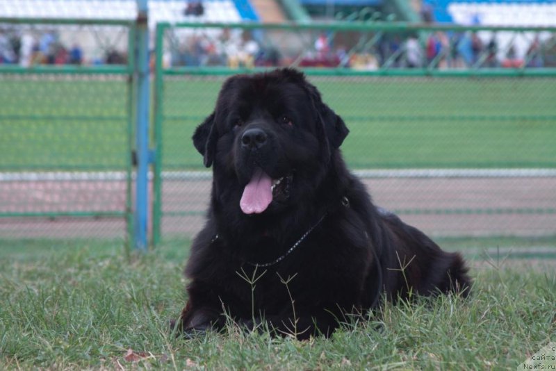 Фотография № 164189