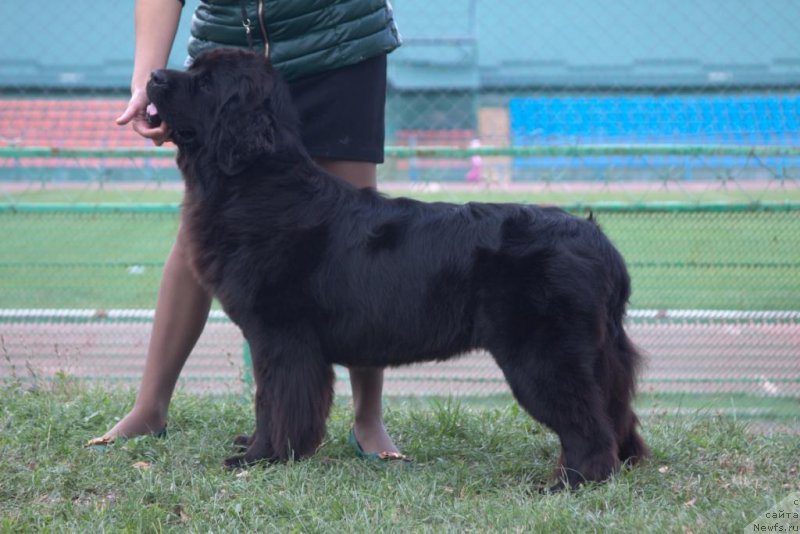 Фотография № 164194