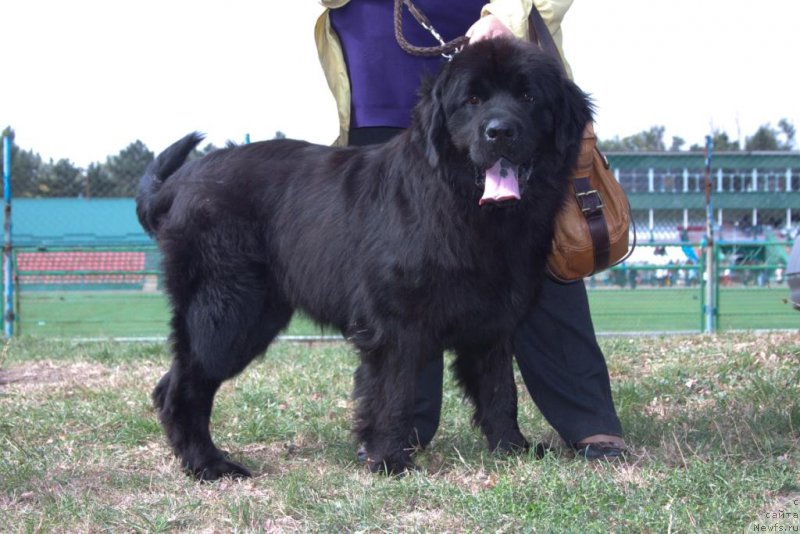 Фотография № 164198