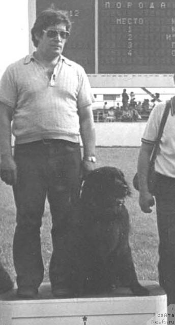 Фото: ньюфаундленд Kamilla (Камилла)