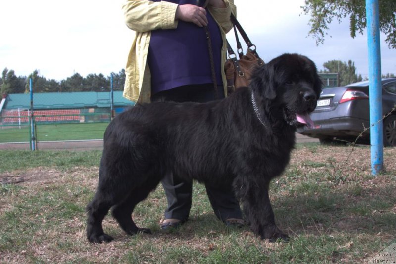 Фотография № 164200