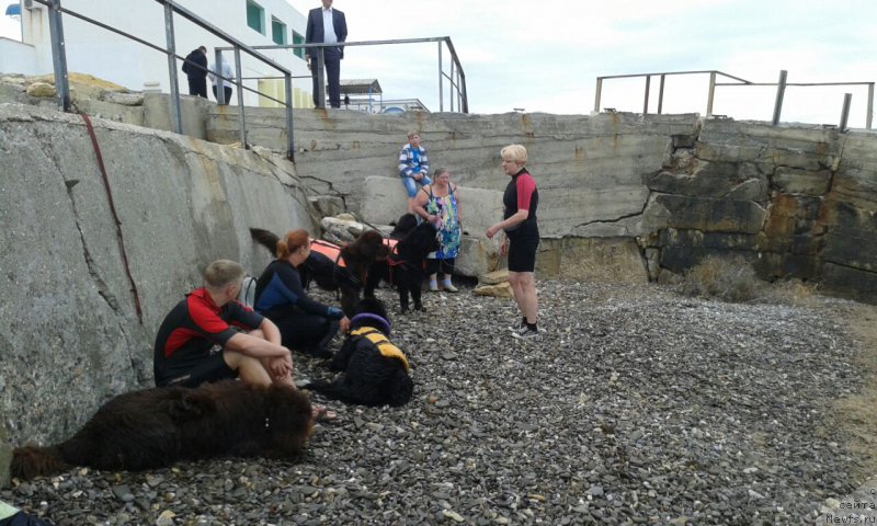 Фотография № 164203