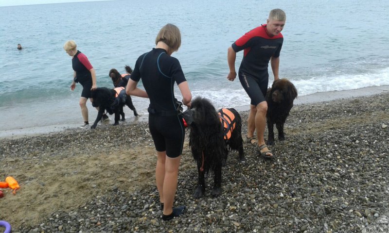 Фотография № 164204