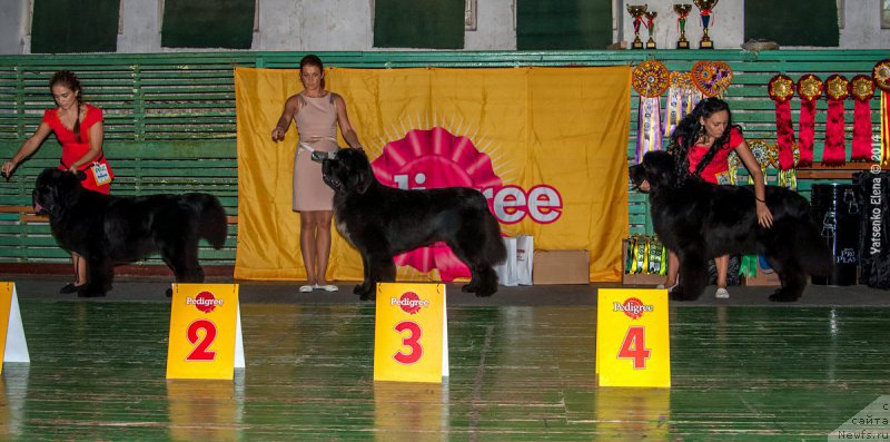 Фотография № 164234