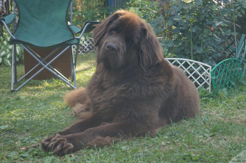 Фотография № 164249