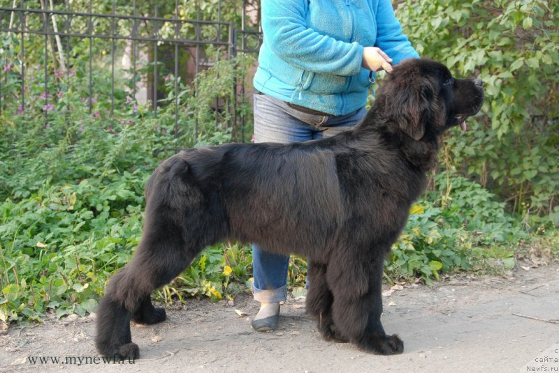 Фотография № 164299