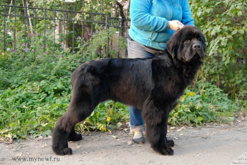 Фотография № 164301