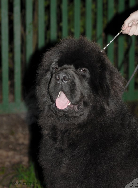 Фотография № 164306