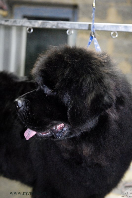 Фотография № 164307