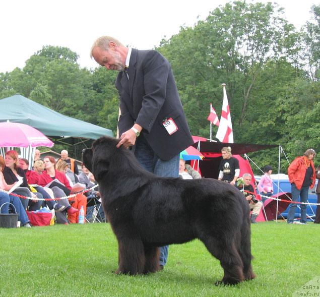 Фотография № 16433