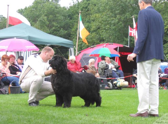 Фотография № 16437