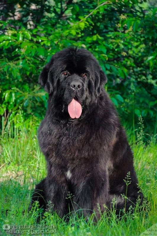 Фотография № 164387