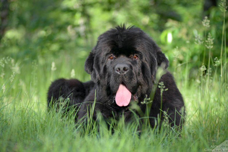 Фотография № 164388