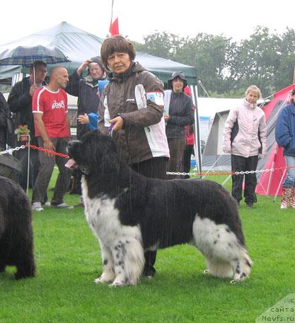 Фотография № 16439