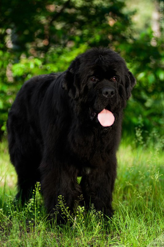 Фотография № 164392