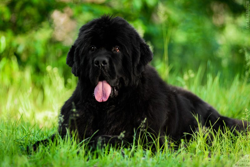 Фотография № 164395