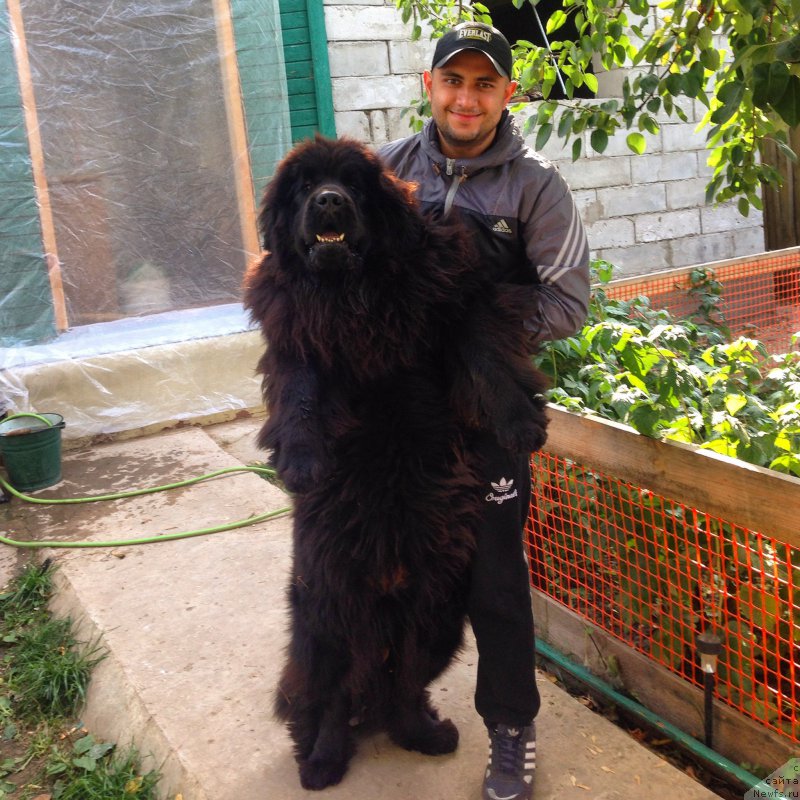 Фотография № 164396