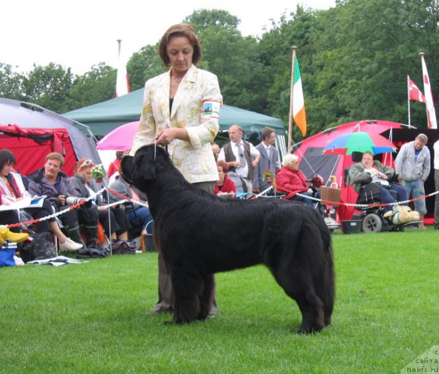 Фотография № 16441