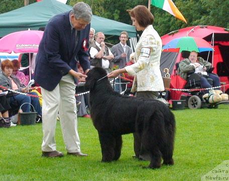 Фотография № 16442