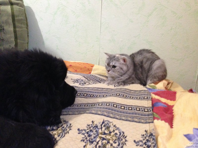 Фотография № 164420