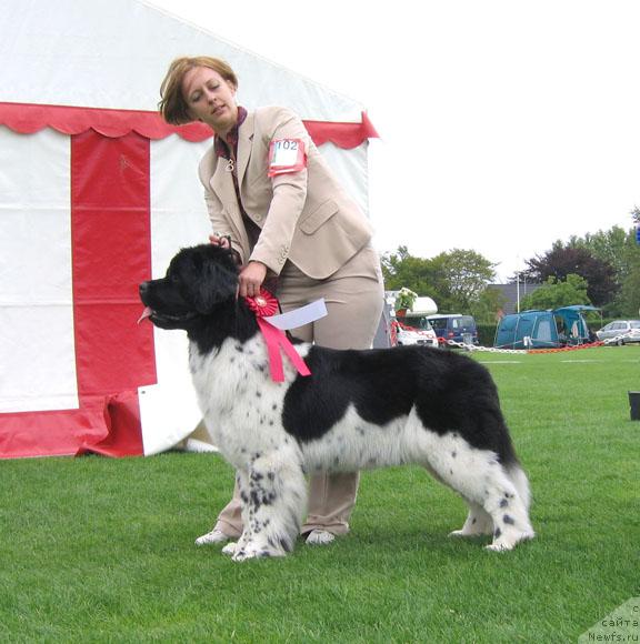 Фотография № 16443