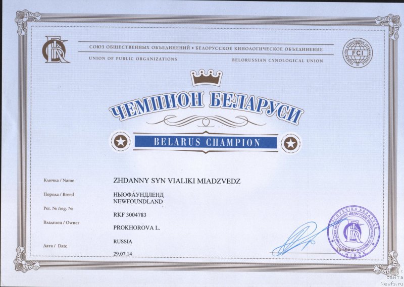 Фото: ньюфаундленд Zhdanny Syn Vialiki Miadzvedz