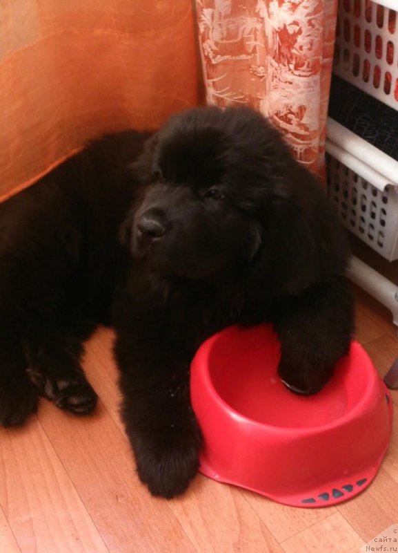 Фотография № 164483