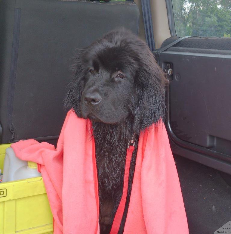 Фотография № 164484