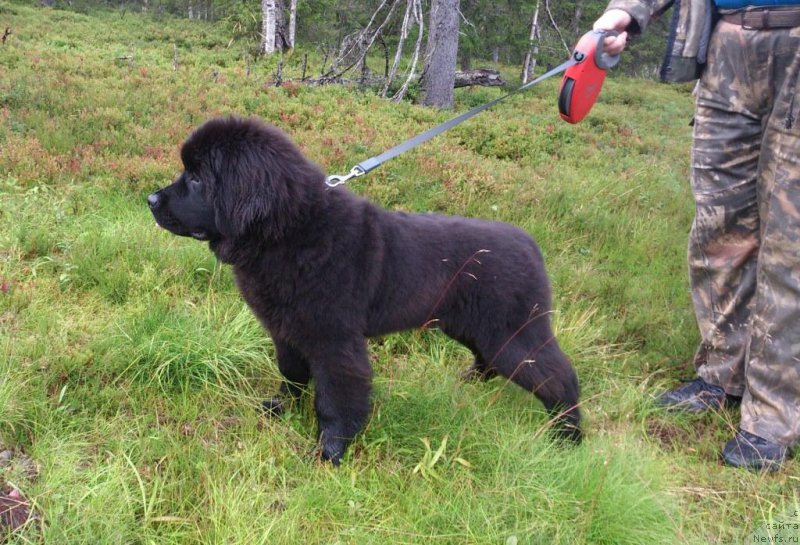 Фотография № 164485