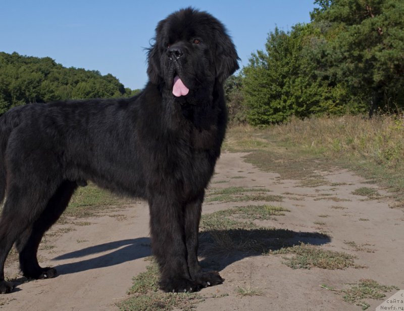 Фотография № 164499