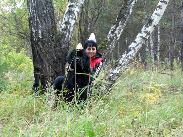 Фотография № 164501