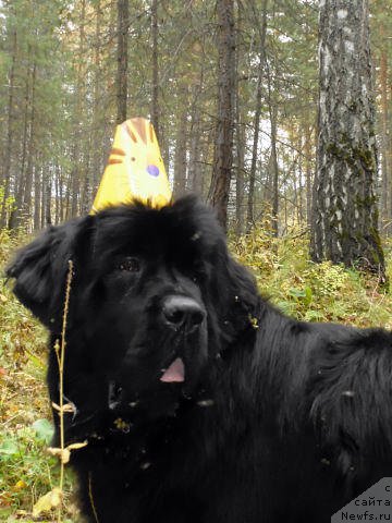 Фотография № 164504