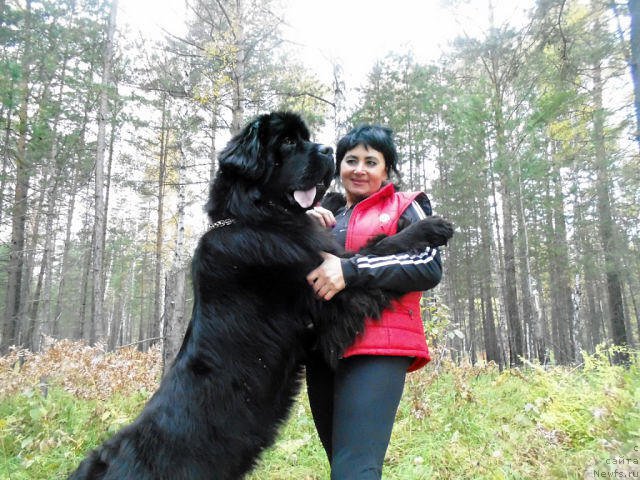 Фотография № 164505