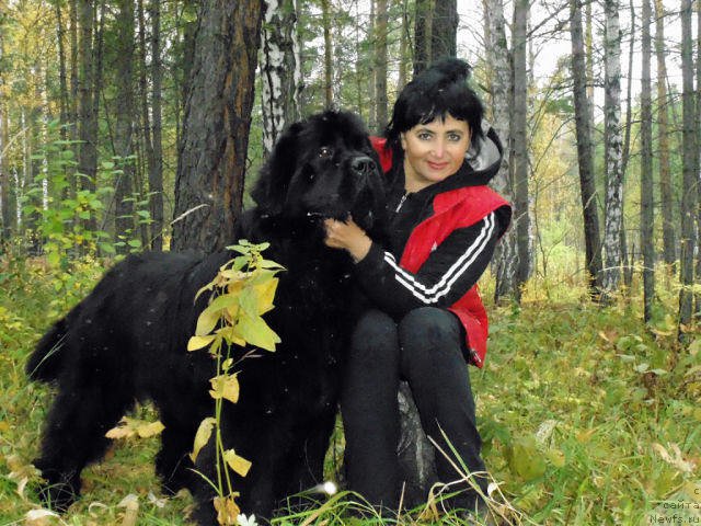 Фотография № 164506