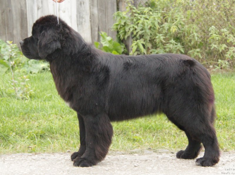 Фотография № 164527